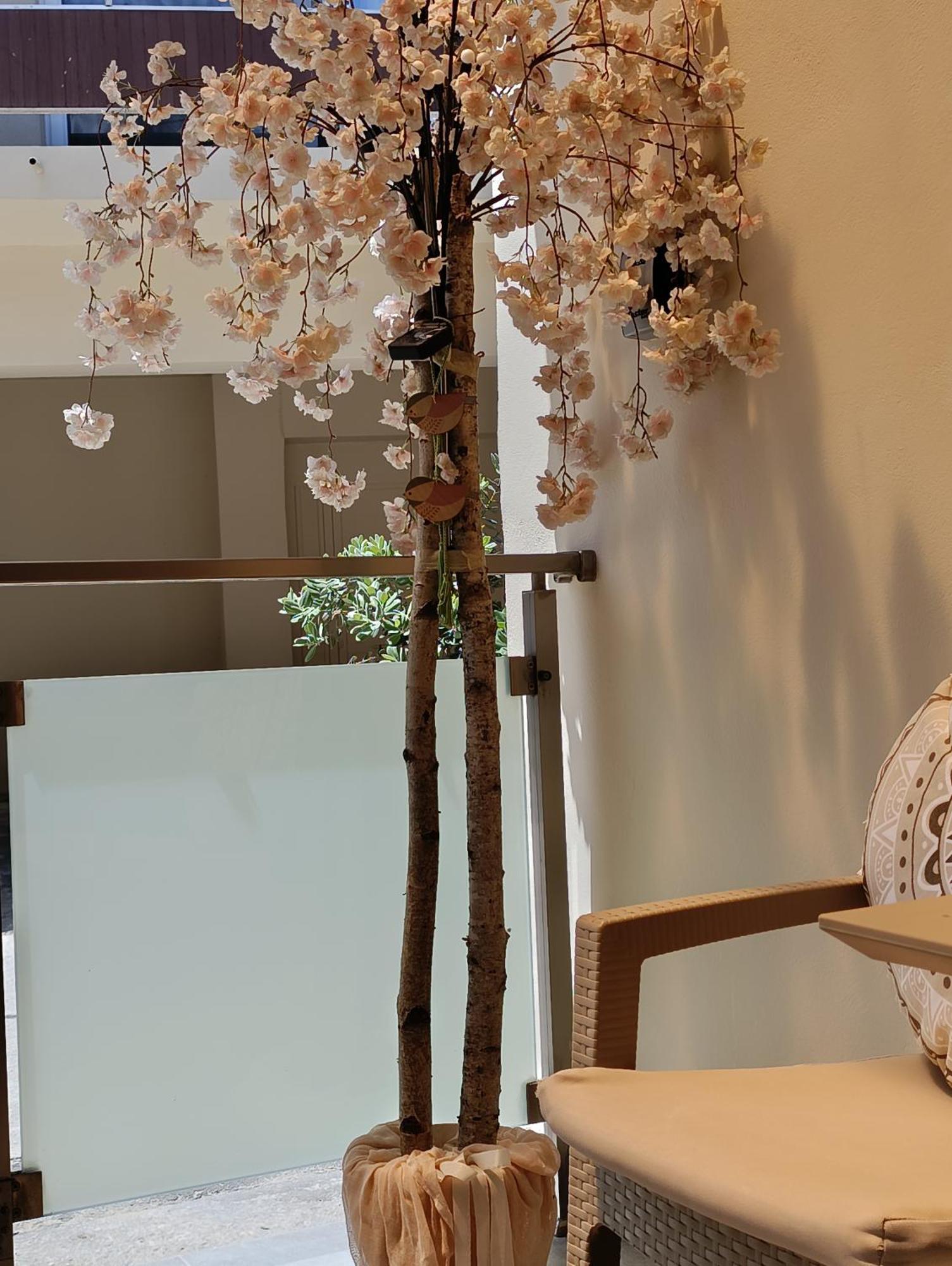 Apolafsi Apartments 2 New With Kitchen Chania  ภายนอก รูปภาพ